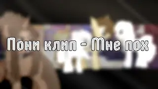 (Пони клип - Мне пох)(канон)