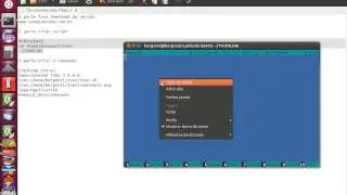 Video Tutorial no Ubunto conexaotvon Criando lançador no linux