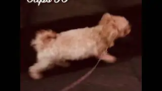 Coco from Instagram / 20191016