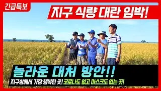 [유기농의 세계적인 메카] 돌나라 오아시스 농장/브라질/해외농업/Non-Gmo 식품/웰빙/친환경 농업/한국농업 [Organic Doalnara]
