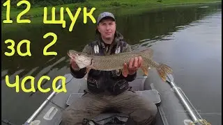Рыбалка на Томи | 12 щук за 2 часа забили кукан