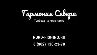 Турбаза Гармония Севера. Тур к немецкому опорному пункту Могильный.