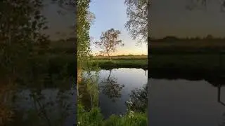 Düş/tüm Kıyı/na...