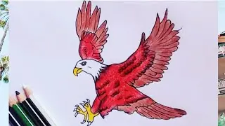 How to draw a bald eagle l how to make eagle drawing l eagle drawing easy with colour l animal art