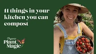 11 Things In The Kitchen You Didn't Know You Can Compost