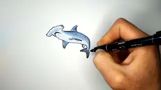 Как нарисовать Акулу-молот | How to Draw a Hammerhead Shark