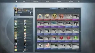 Medaille de Service 2016 #2