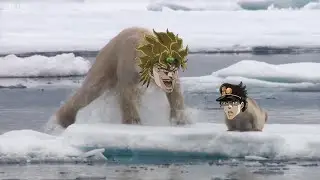 DIO hunts Jotaro