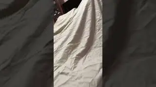 MaKayLee chair fort