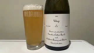 VILLAGE (2023) Mountain Culture Beer Co, Blue Mountains & Wildflower Brewing, Sydney | Live Review