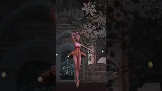 The story of one ballerina 🩰