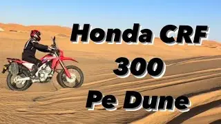 Honda CRF 300 - 2023 | Pe Dune Cu un Adventure de Buget