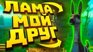 Лама мой друг | Raft
