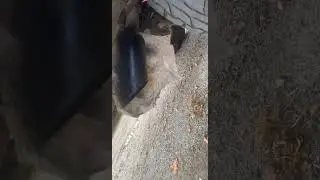 $10k EXHAUST?! 