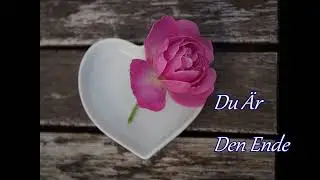 DU ÄR DEN ENDE  cover