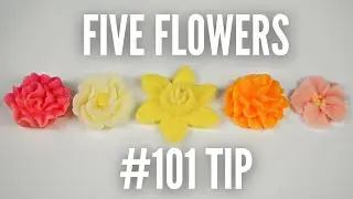 How to pipe a flower 5 ways! | Buttercream flowers with a small petal tip!