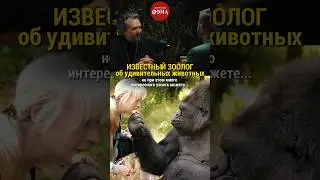Известный зоолог об удивительных животных / 