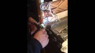DJ frog phobia