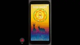 Hisense U50 Lite (HWCD103E) Network Unlock Code BY IMEI