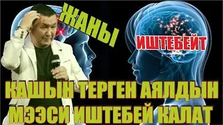 ЖАҢЫ//Аялдардын мээсин анализдеп чыктым//Борончу 2021