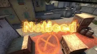 noticed │ montage