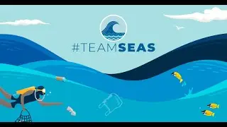 Friday Night Funkin | vs. Mr. Beast Team Seas | Mod