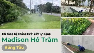Hệ thống tưới cây tự động Madison Hồ Tràm Vũng Tàu