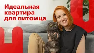 Как подготовить свою квартиру для комфортной жизни с питомцем: советы от декоратора интерьеров