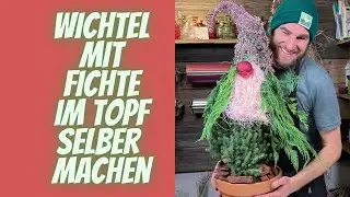 DIY Winterdekoration für den Hauseingang: Wichtel mit leuchtendem Bart und Fichtenpflanze im Topf 🎄✨