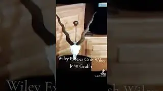 Wiley Exotics John Grubb