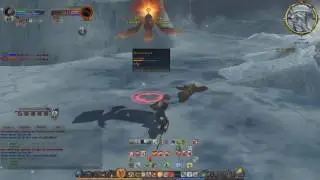 Lord of the Rings Online - Warden: Level 52 Icy Crevasse Skirmish