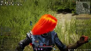 Black Desert Online - Corsair (Корсар) PVE Гайд для новичков (разбор умений,морфы)