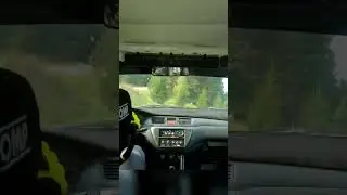 Rally car cutting trees 🌲