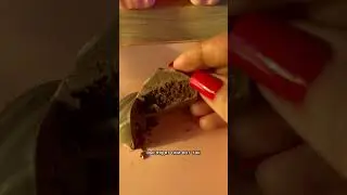 Самое вкусное мороженое. Рецепт #мороженое #рецептмороженого
