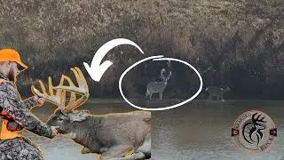 Giant Buck chasing and breeding a doe in a LAKE | Raw Footage of big Illinois Buck- The Bearded Buck