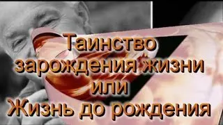 Таинство зарождения жизни или жизнь до рождения