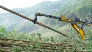 Xuvol telescopic arm works in mountainous forestry, piling downed trees.#telescopicarm