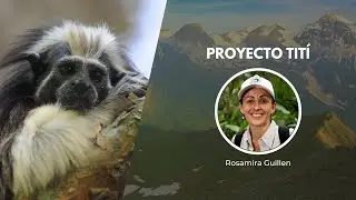 Saving Cotton-Top Tamarins | Wildlife Conservation Expo