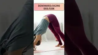 EASY YOGA POSES FOR SENIOR CITIZEN #yoga #senior #seniorcitizens #yogapractice #motivation #health