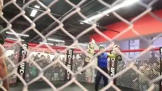 Conor Mcgregor the notorious one Dreamed into reality