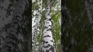 27 июня 2023 г.