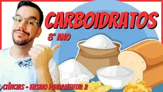 CARBOIDRATOS - O que é? - Funções - E tipos | Aula completa de Ciências | 2023