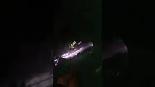 Incredible Effects on Water Slide 🐍 Green Viper im Europabad Karlsruhe 