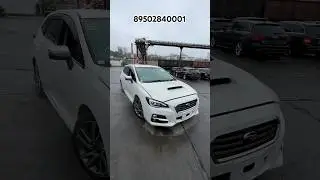 Subaru Levorg GTS🦈 #shorts #авто #автомобили #автоподбор #видео #автомобиль #обзор #автоизяпонии
