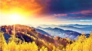 💖Good Morning Peace Music 528Hz😍 Positive Deep Morning Meditation Music You Can Listening To All Day