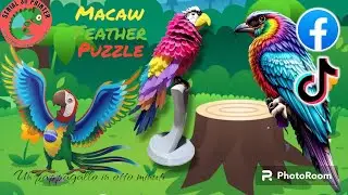 Macaw feather puzzle