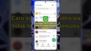 How to prevent videos and photos on WhatsApp from being automatically saved to the gallery