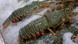 Seafood in Chiang Mai Town Night Market,Thailand