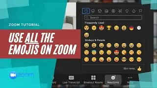 Use ALL EMOJIS on Zoom (Zoom Update 5.6.3 on April 19, 2021)
