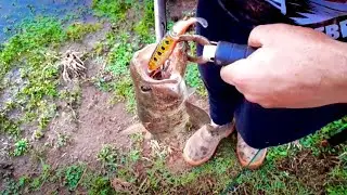 As traíras não Resiste essa isca!!Whopper Plopper.